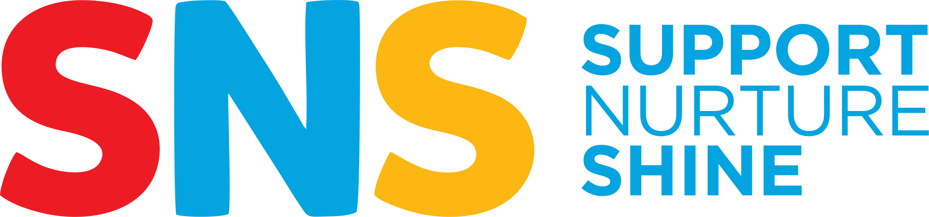 SNS logo